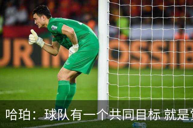 哈珀：球队有一个共同目标 就是觉得去年本该实现的那个
