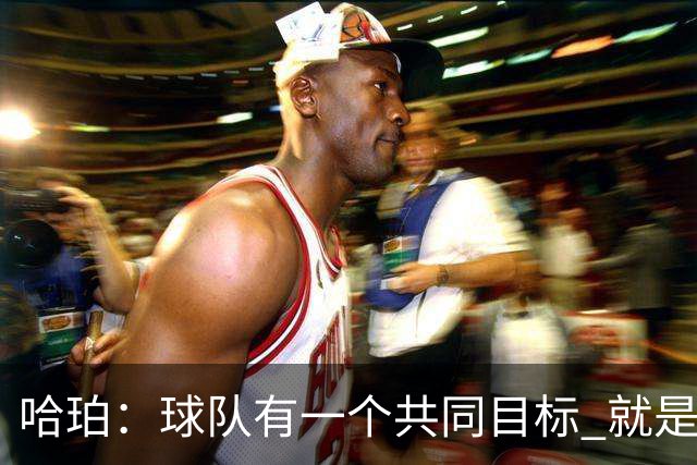 哈珀：球队有一个共同目标 就是觉得去年本该实现的那个